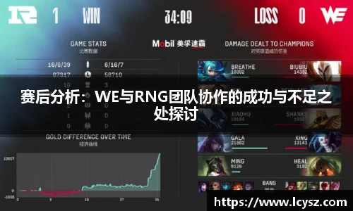 赛后分析：WE与RNG团队协作的成功与不足之处探讨